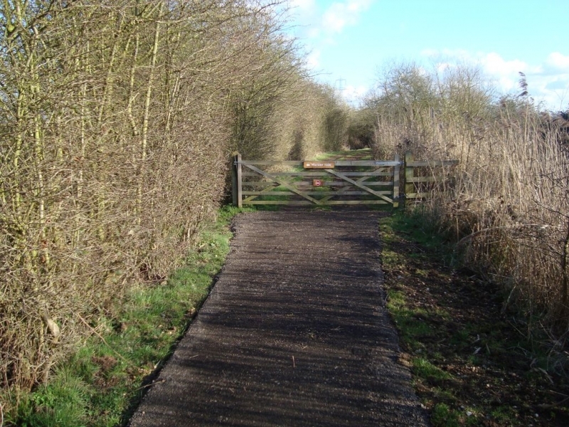Rye Meads Nature Reserve New Path