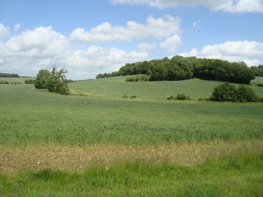 East Hertfordshire Woodland Grant Scheme Application