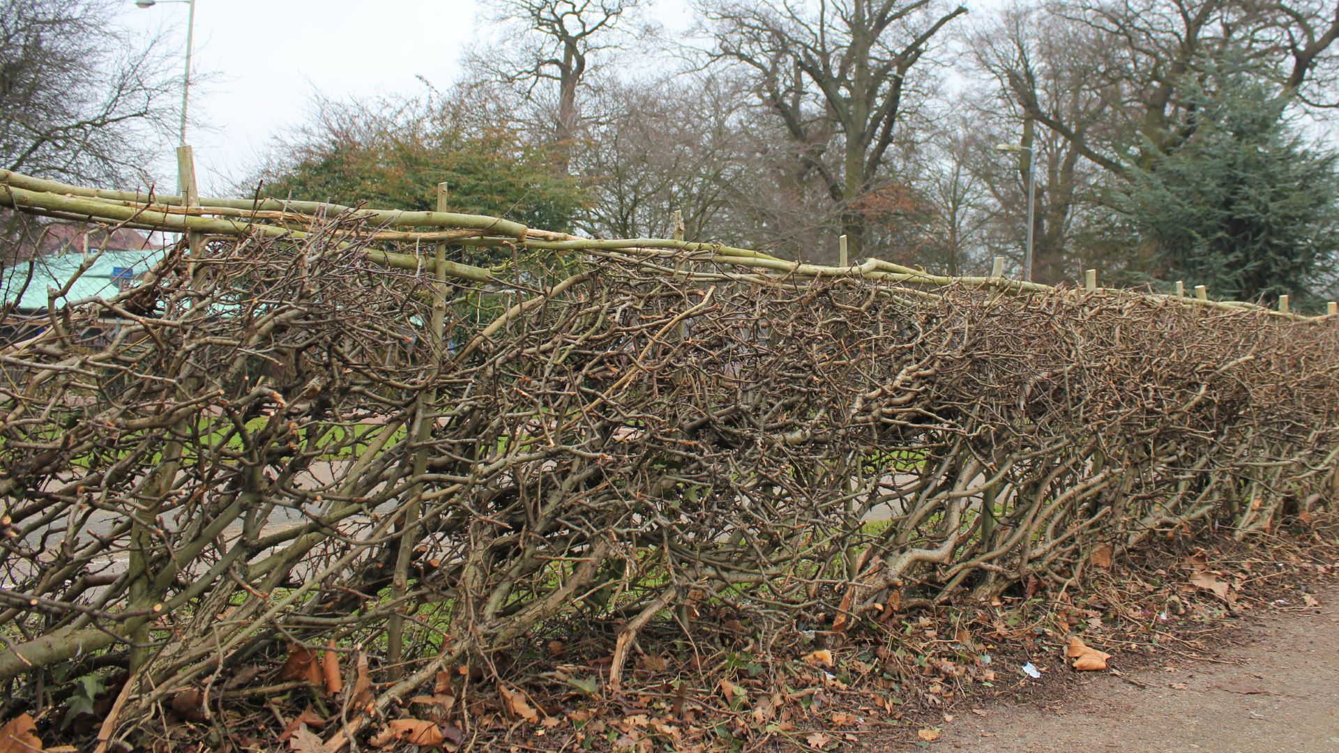 Hedgerow management Land management Our Services Maydencroft Limited
