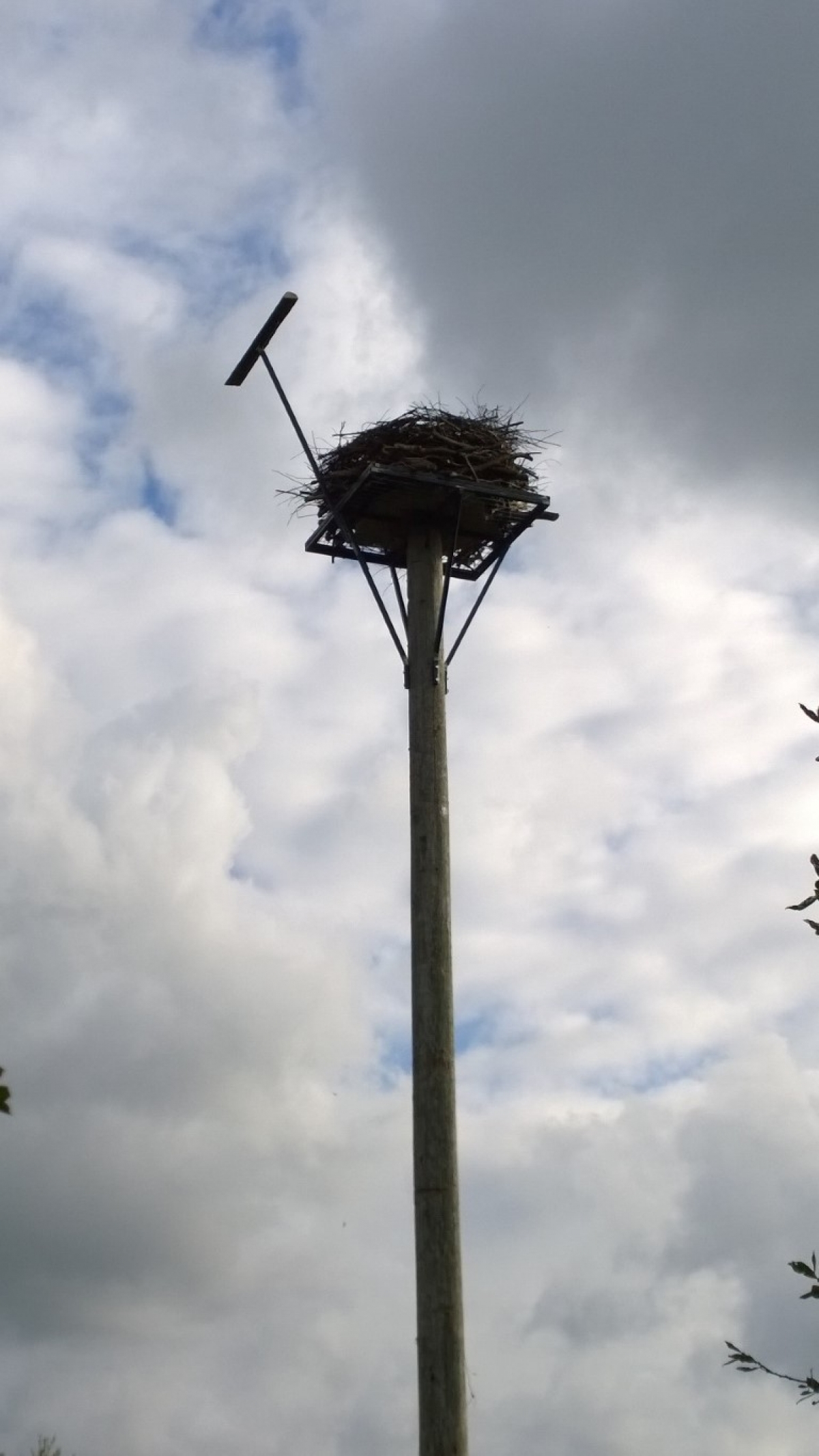 Pinkhill Meadows Nature Reserve Osprey Nest Tower And Perch