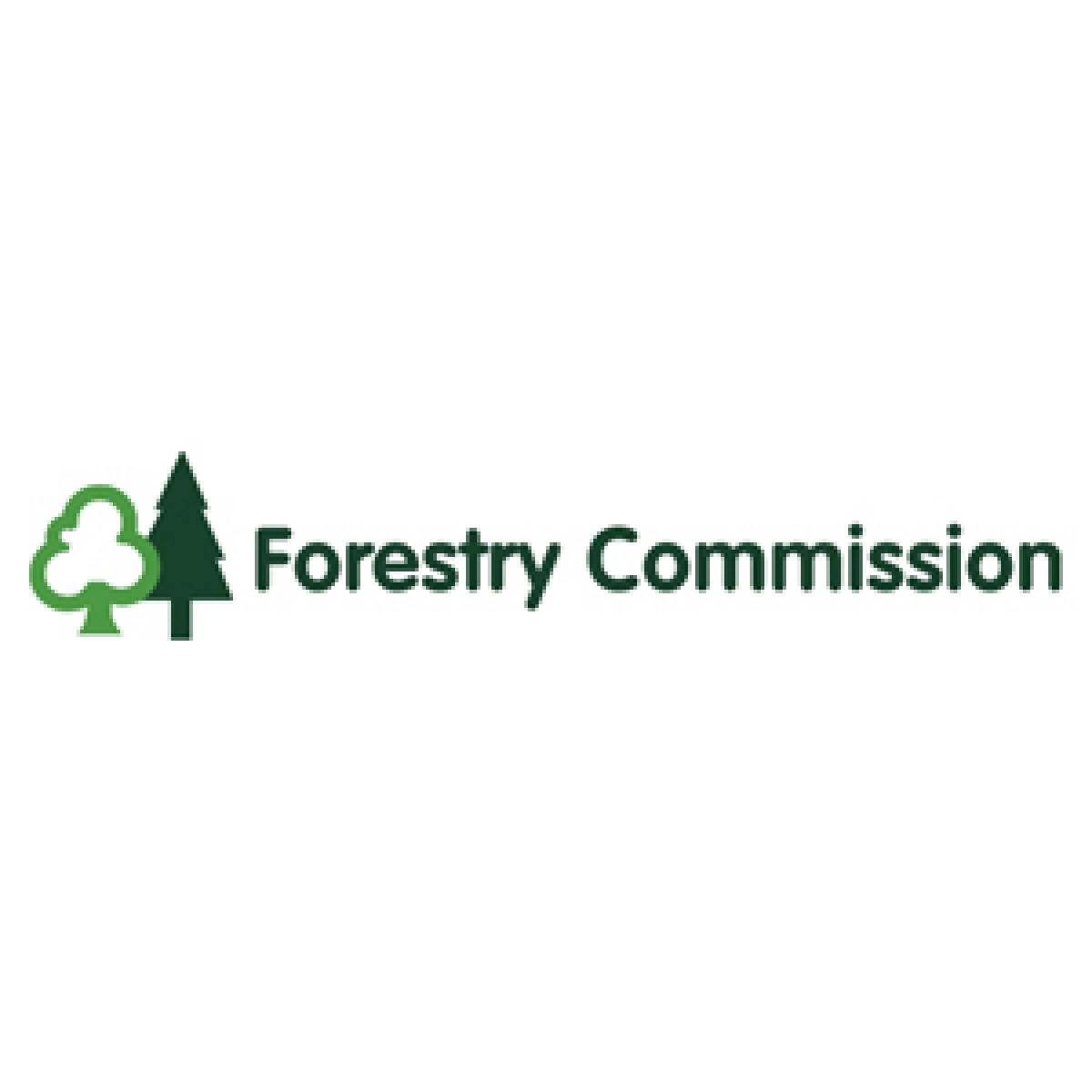 Maydencroft Awarded A Framework Agreement With The Forestry Commission