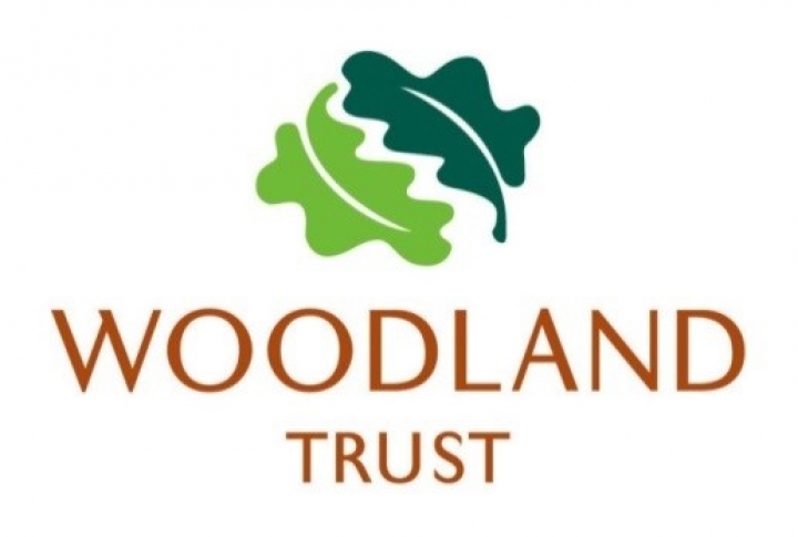 Maydencoft Appointed As Consultants On The Ancient Woodland Restoration Panel