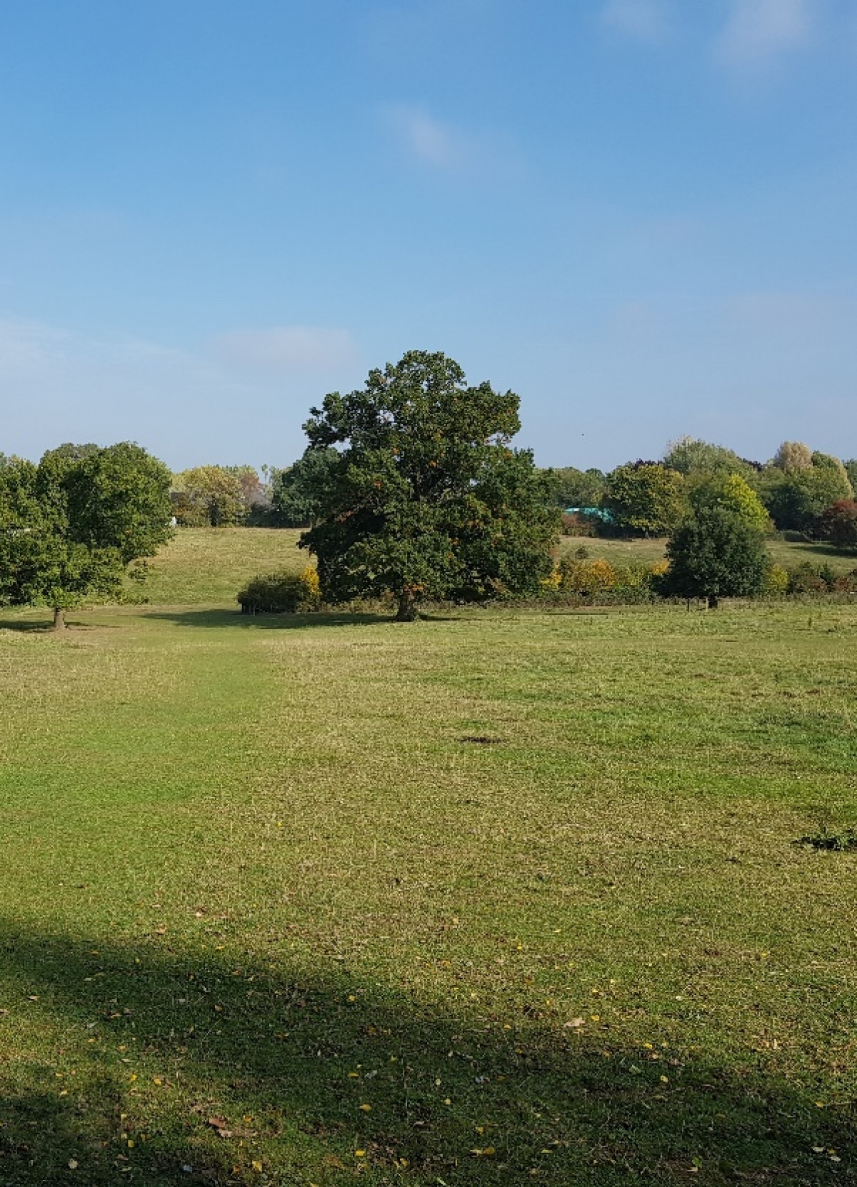 Landsacape Management Plan Hertfordshire County Council