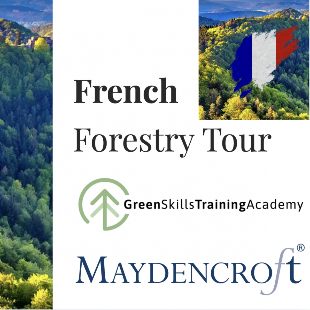 French Forestry Tour | News